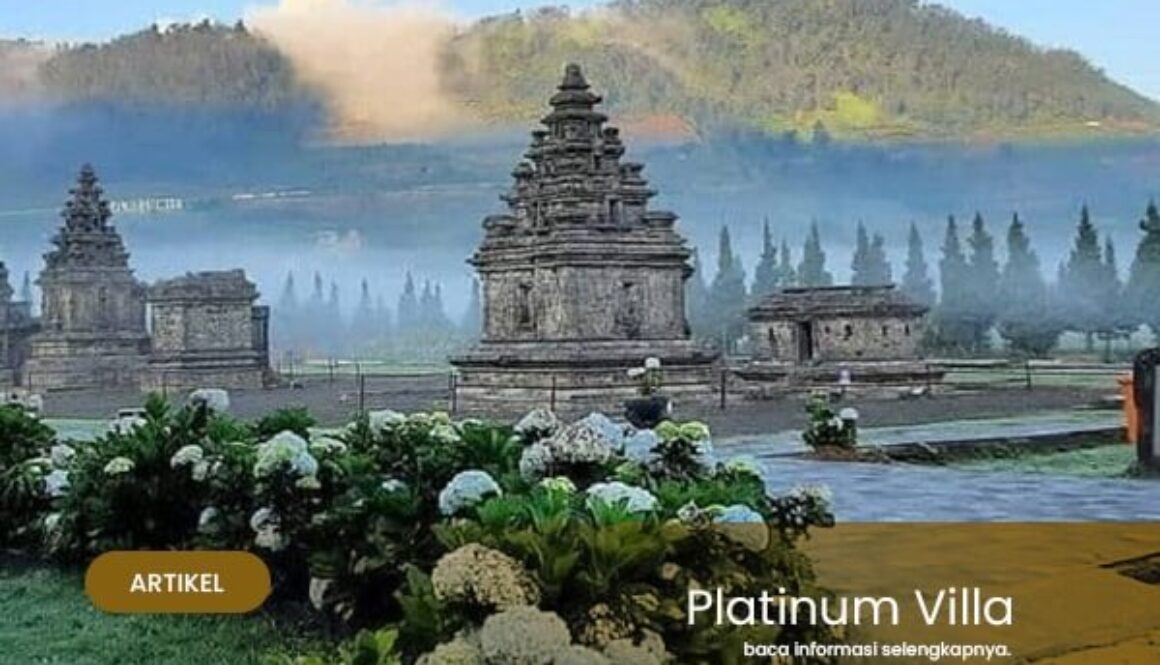 platinum villa - paket trip dieng