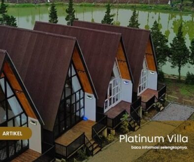 platinum villa - sewa villa dieng 2(1)